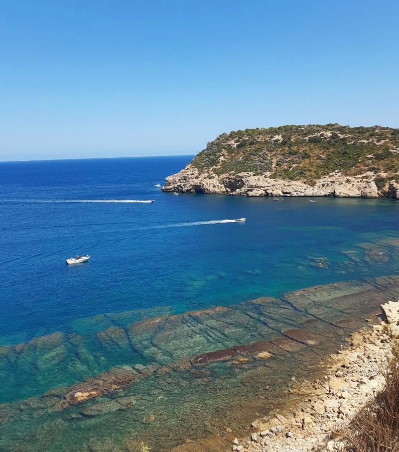 Bungalow Laumar - Γιαβέα Εξωτερικό φωτογραφία